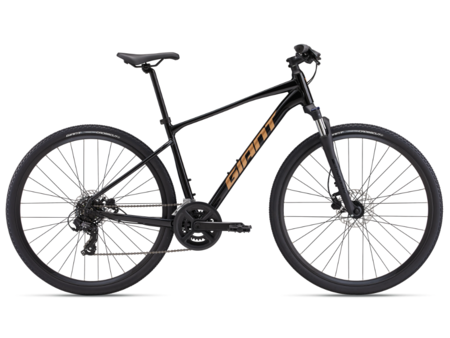 Giant Roam 4
