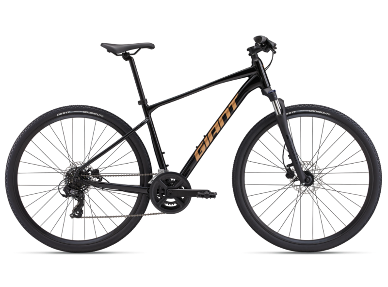 Giant Roam 4