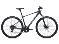 Giant Roam 4