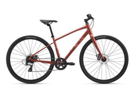 Liv 25 Alight Disc 4