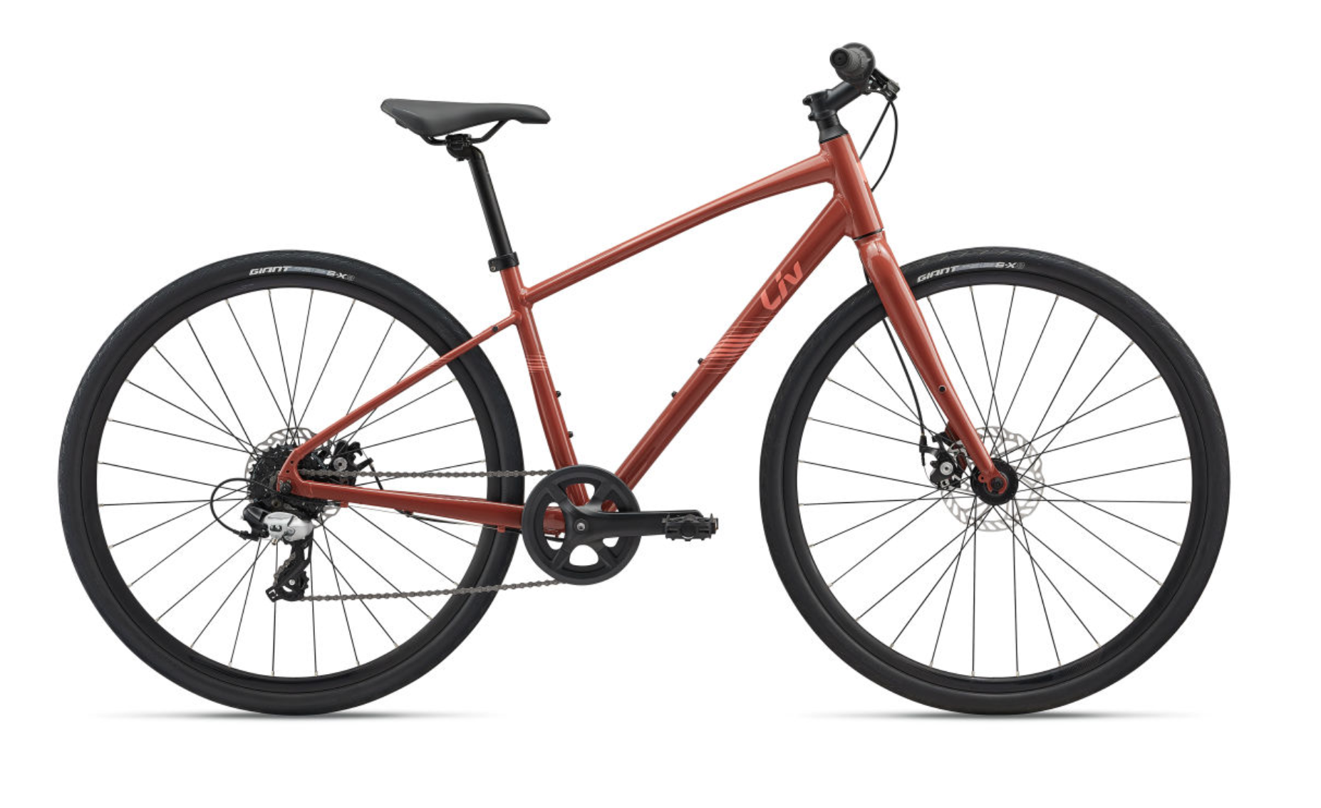 Liv 25 Alight Disc 4