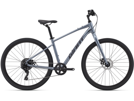 Giant Cypress 3 (2025)