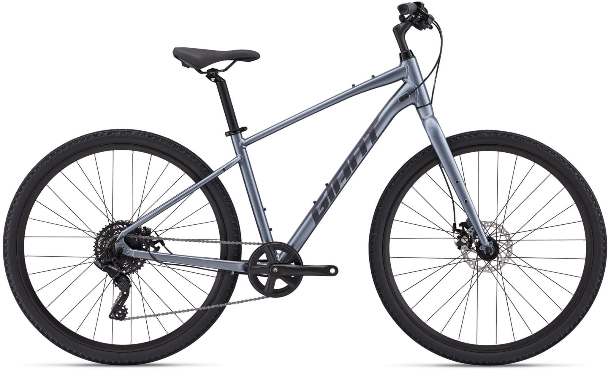 Giant Cypress 3 (2025)