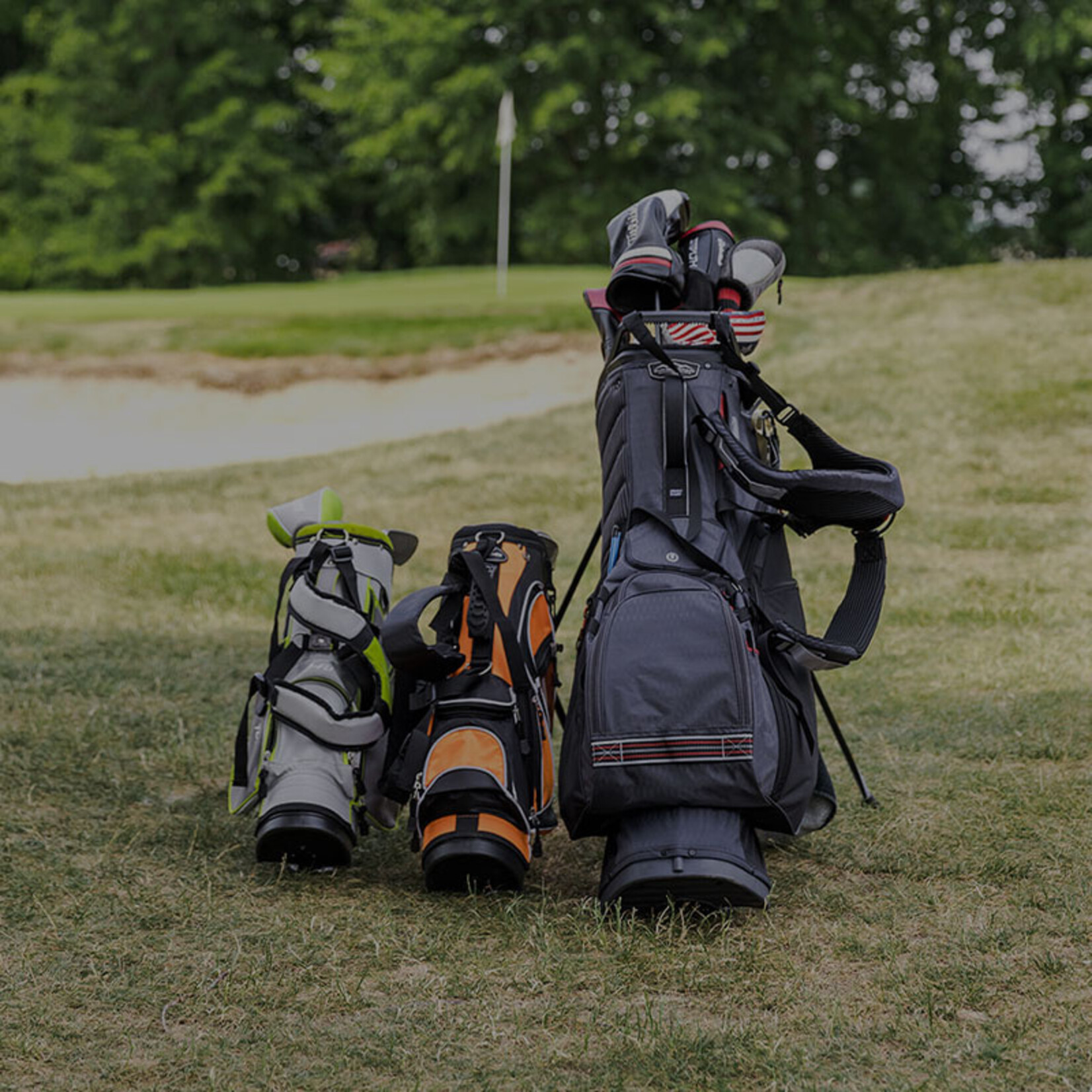 Annual Bag Storage