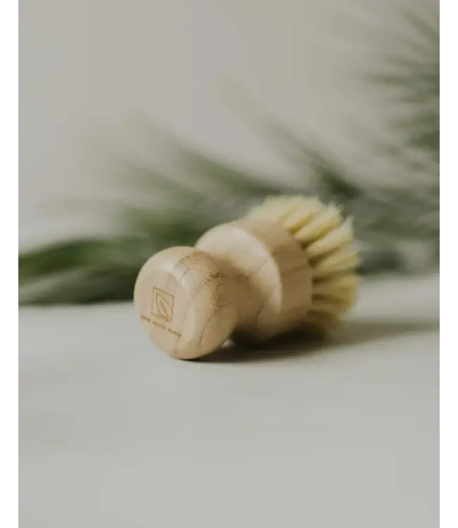 Bamboo Pot Brush