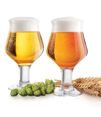 Craft Beer Glass
