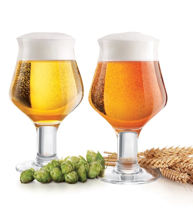 Craft Beer Glass