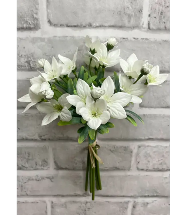 11.5" White Balloon Flower
