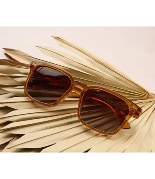 Peepers Shasta Reading Sun- Tan +2.00