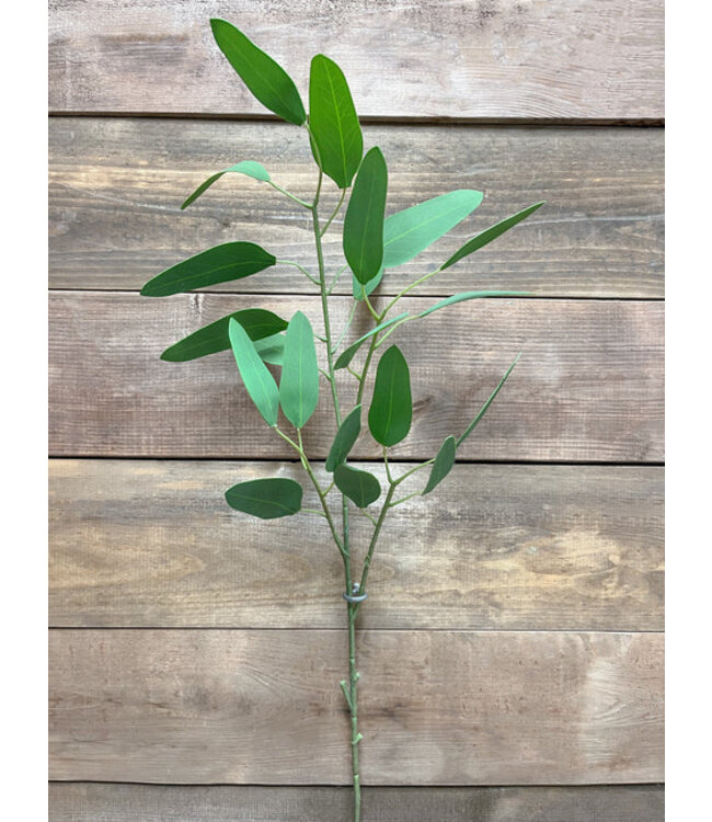 30" Green Eucalyptus Spray