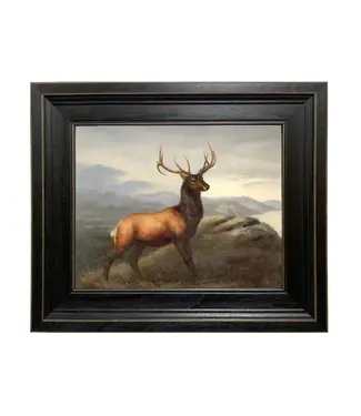 White Tail Stag