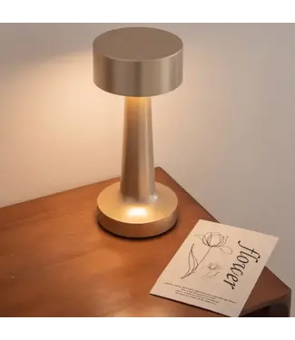 Metallic Table Light