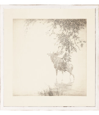 Shadows On the Agawa C. 1889