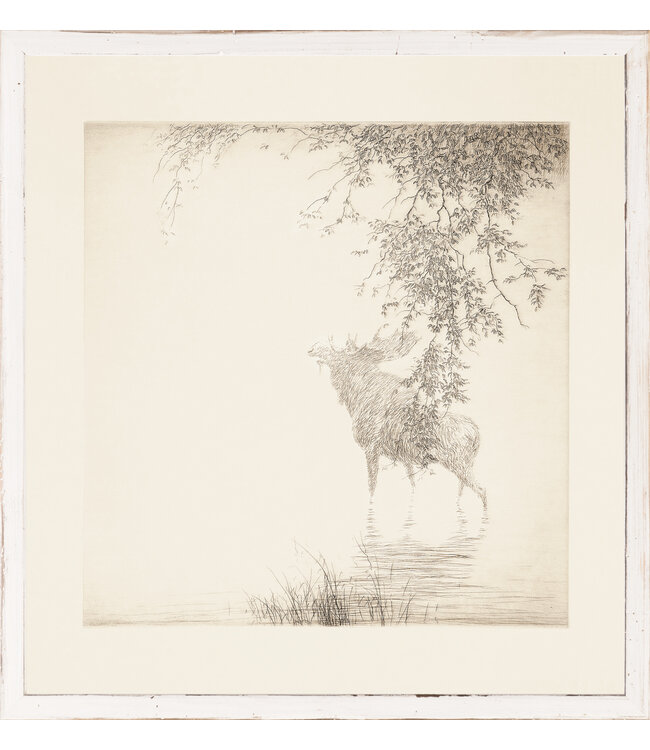 Shadows On the Agawa C. 1889