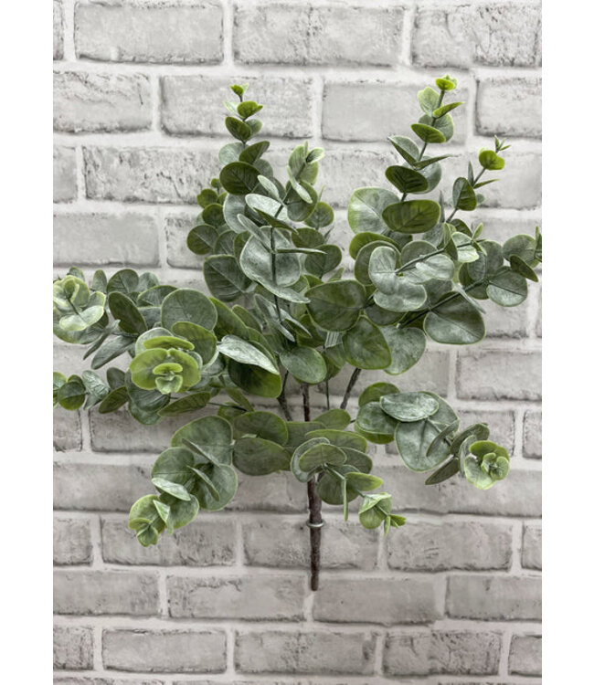 19" Green Eucalyptus Bush X3
