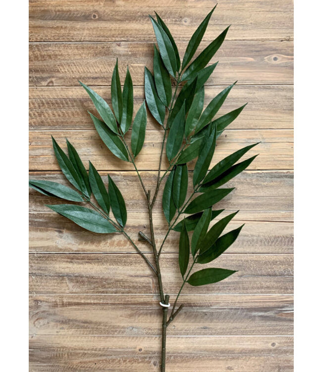 42" Green Willow Spray