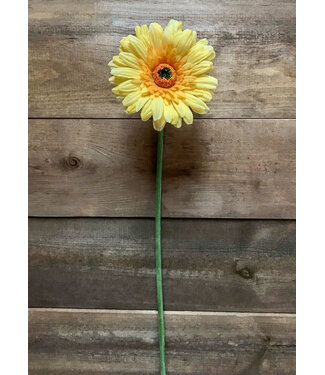 25" Yellow Fresh Gerbera Stem