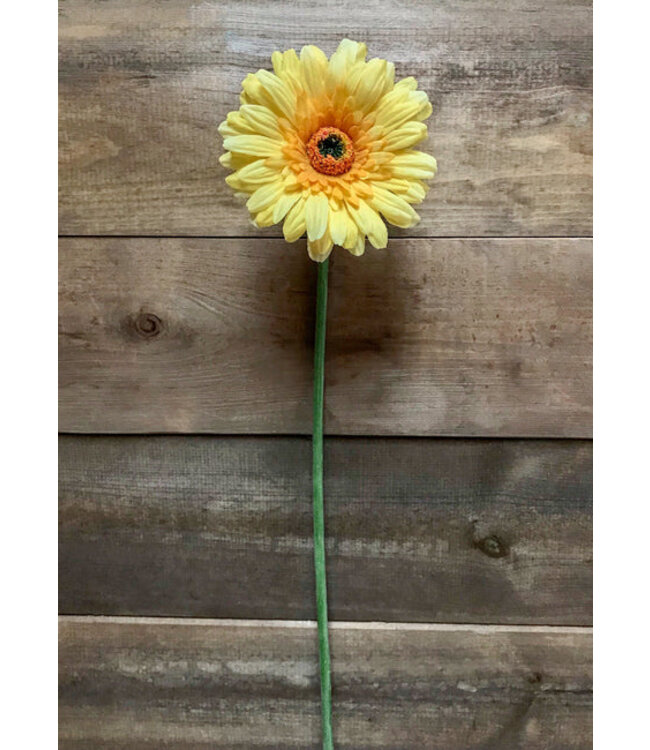 25" Yellow Fresh Gerbera Stem