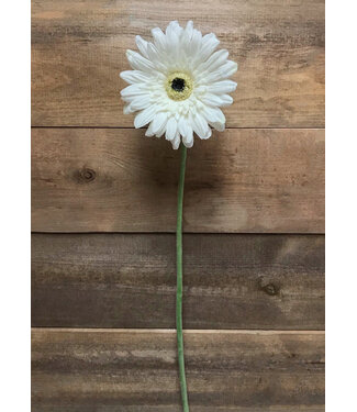 25" White Fresh Touch Gerbera Stem