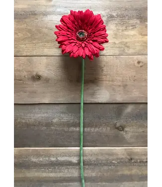 25" Red Fresh 25" Gerbera Stem