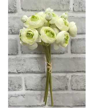Ranunculus