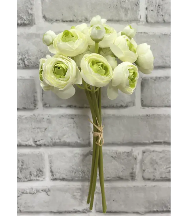 Ranunculus