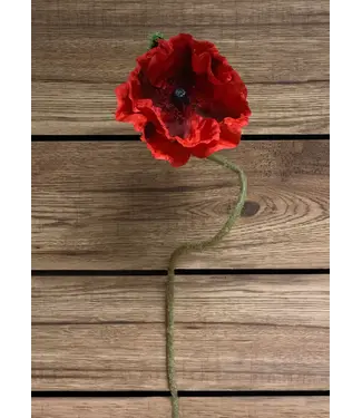 31" Red Poppy Stem