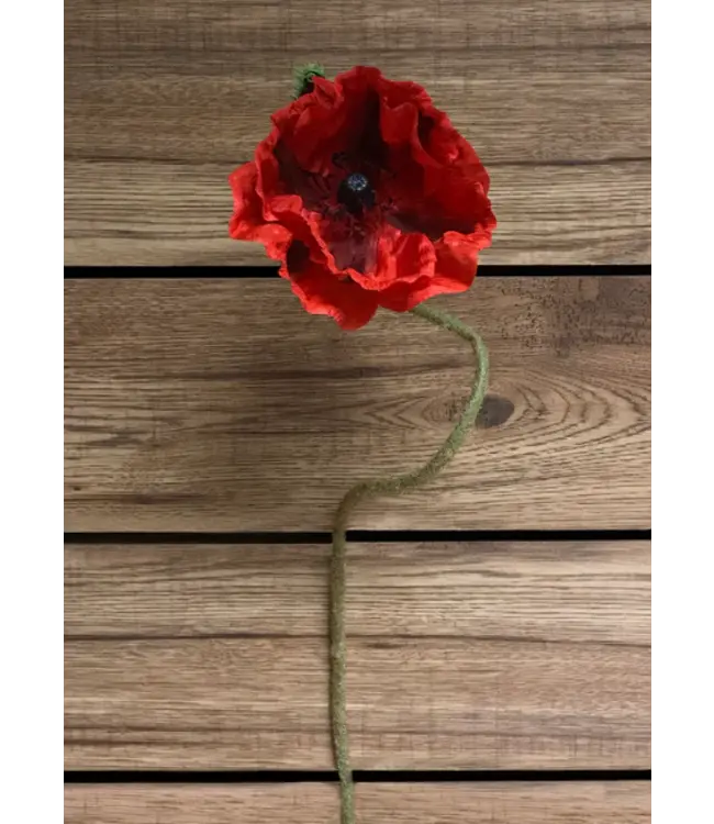 31" Red Poppy Stem