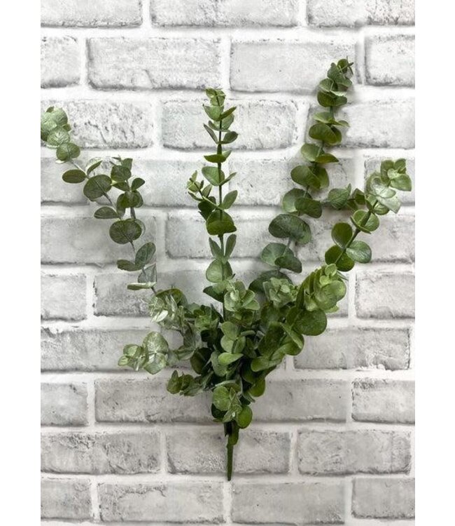 19" Fresh Touch Eucalyptus Bush