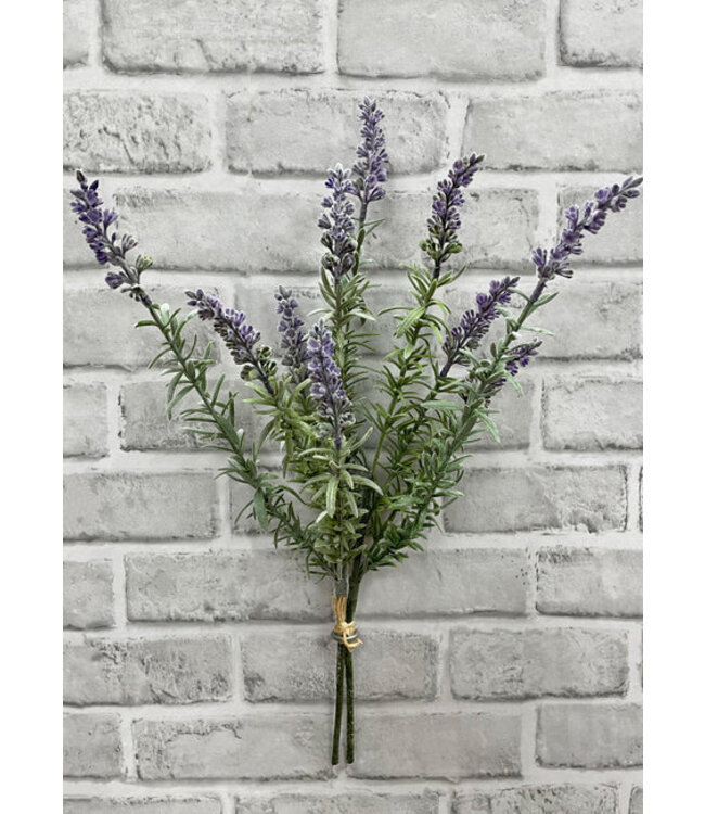17" Lavender Bundle
