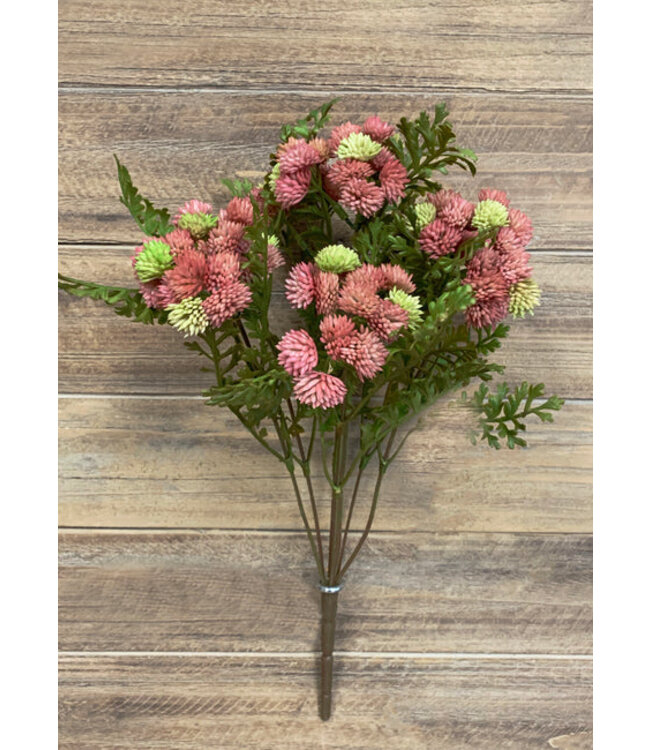 16" Green Pink Sedum Cluster