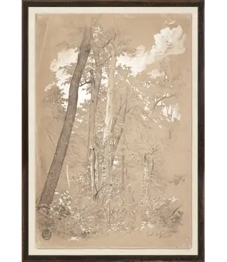 Collection 23 chestnut trees, niagra river c.1858 small