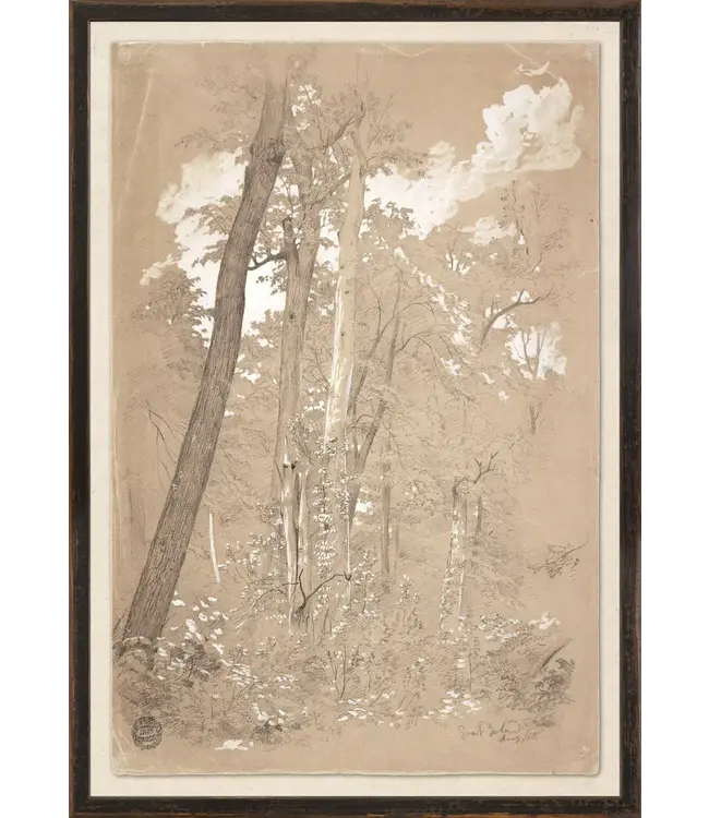 Collection 23 chestnut trees, niagra river c.1858 small