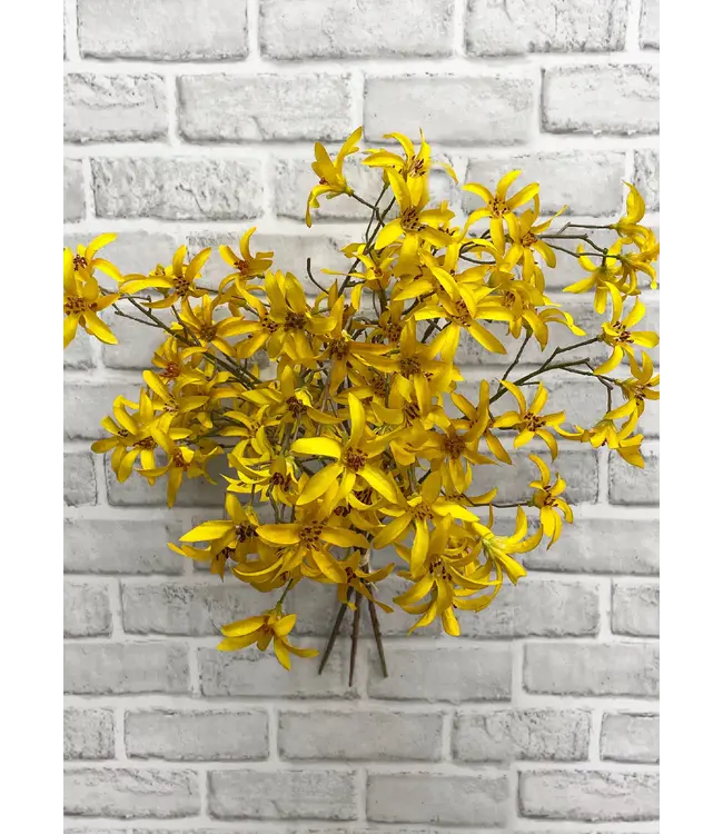21" Forsythia Bundle X3