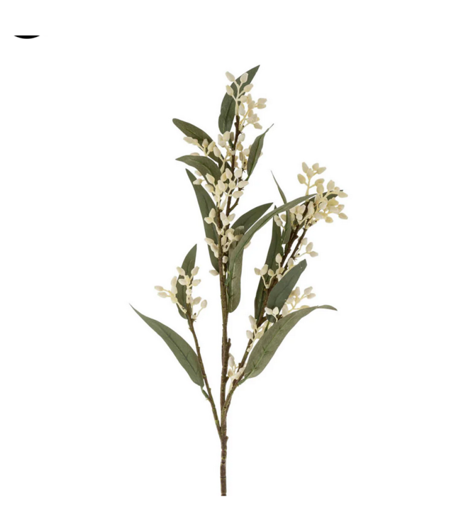 Indaba Flowering Eucalyptus Branch