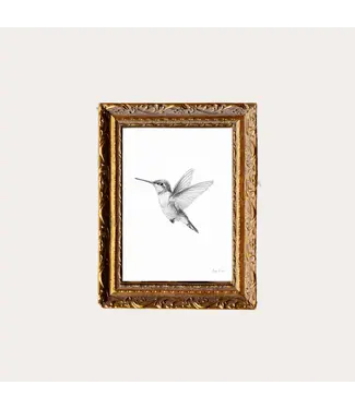 8X10 Hummingbird Sketch | French Brass Gold Mould Framed Art