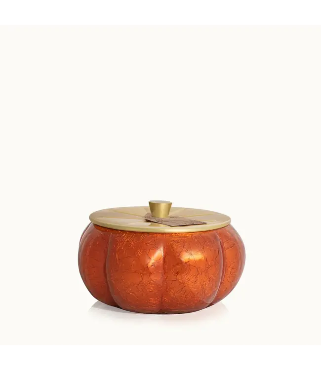 Thymes Pumpkin Laurel 15oz Large Candle