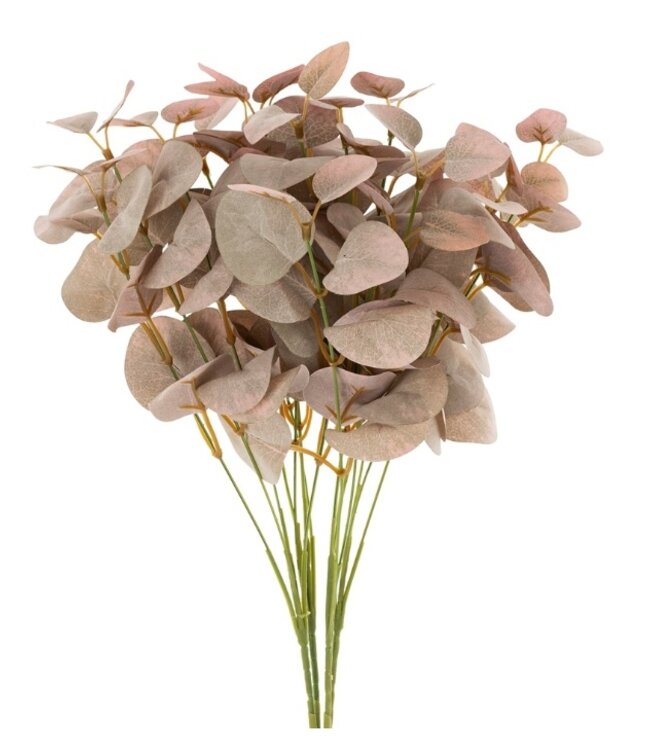 Indaba Plum Eucalyptus Spray