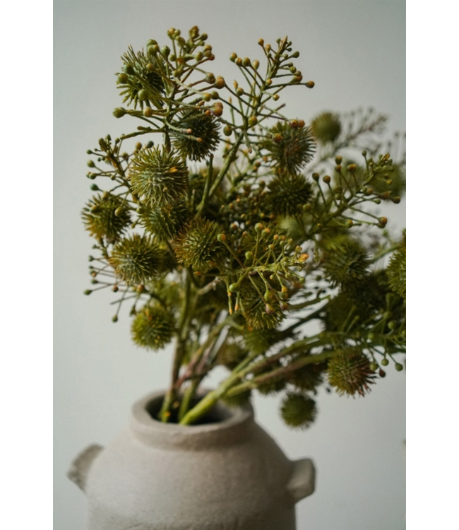 Indaba Wild Berry Spray, Green