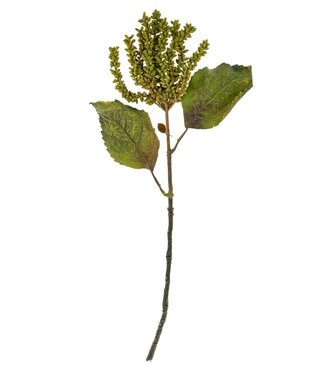 Indaba Dripping Seed Stem, Green