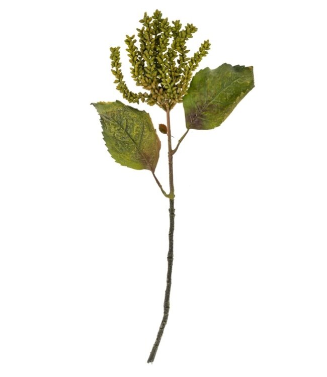 Indaba Dripping Seed Stem, Green