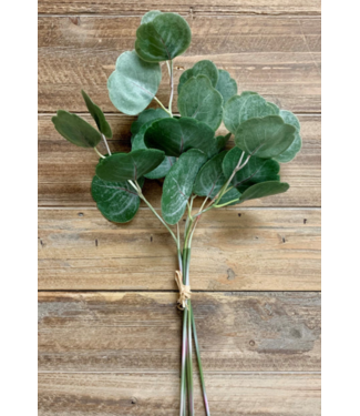 17" Fresh Touch Silver Dollar Eucalyptus