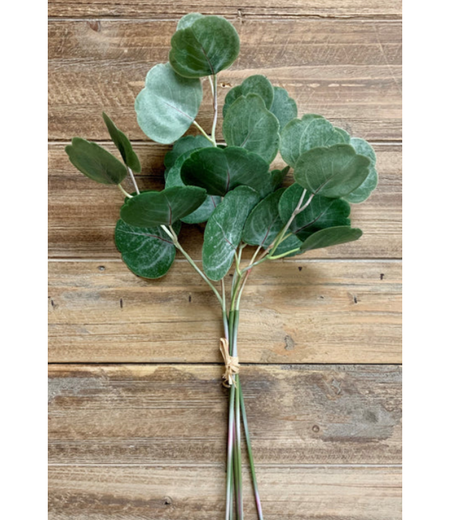 17" Fresh Touch Silver Dollar Eucalyptus