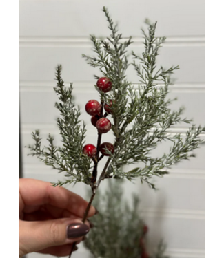 11" Juniper And Berries Pick