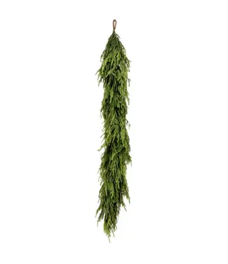 72" Fresh Touch Norfolk Pine and