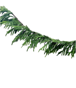 10" Foot Fresh Norfolk Pine Garland