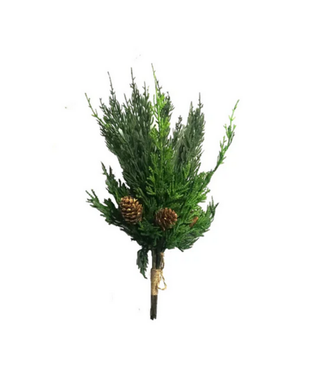 12" Fresh Touch Mixed Cypress Bundle With 8 Stems