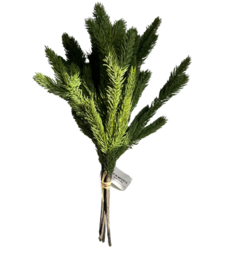 15" Fresh Touch Spruce Bundle