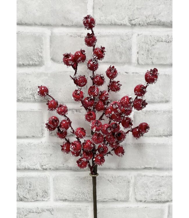 17" Red Iced Berries Spray