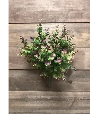 16" Eucalyptus Bush